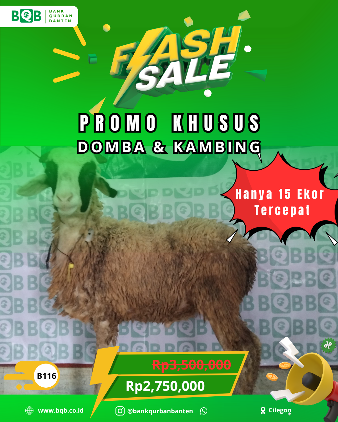 Domba Flash Sale